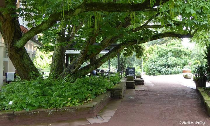 Bistro Café Zeitlos im Park